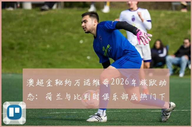 澳超金靴约万诺维奇2026年旅欧动态:荷兰与比利时俱乐部成热门下家,其进球数据与转会前景全面解析